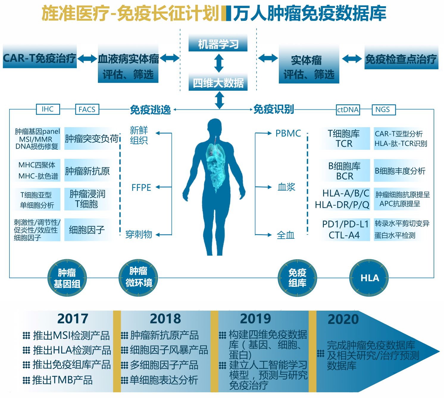 免疫ȝ2.jpg